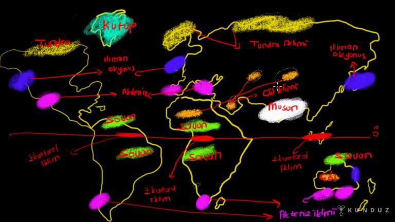 Dünya İklim Tipleri Haritası