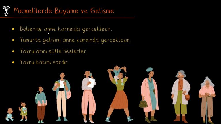 Hayvanlarda Büyüme ve Gelişme