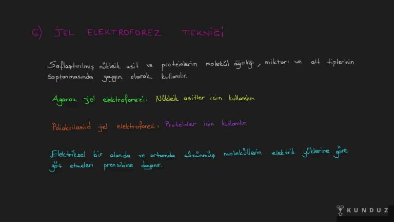 Genetik Mühendisliği ve Biyoteknoloji Uygulamaları