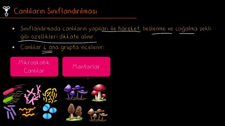 Canlıların Sınıflandırılması
