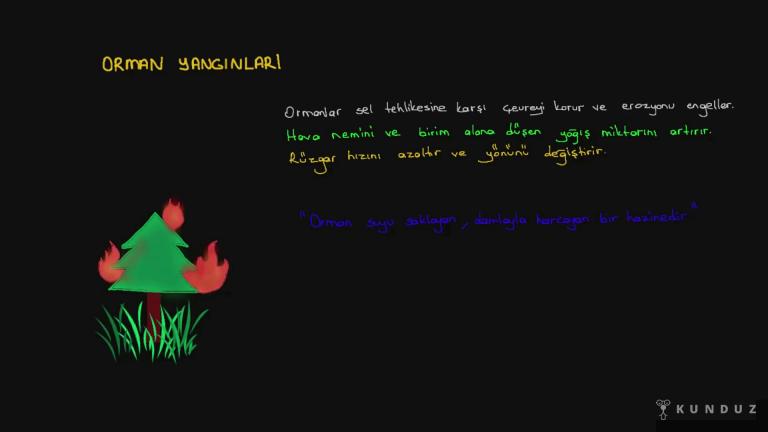 İklim Değişikliği, Erozyon ve Orman Yangınları