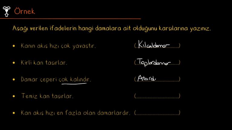 Damarlar