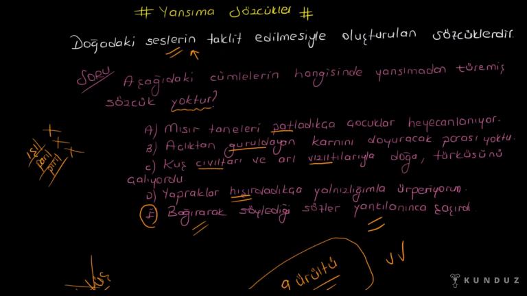 Yan Anlam-Terim Anlam-Yansıma Sözcükler