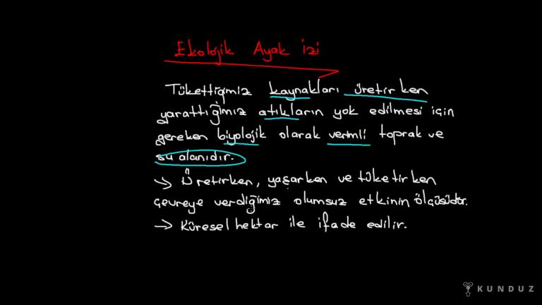 Madde Döngüleri ve Çevre Sorunları