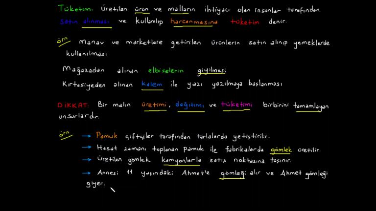 Üretim, Dağıtım ve Tüketim Ağı