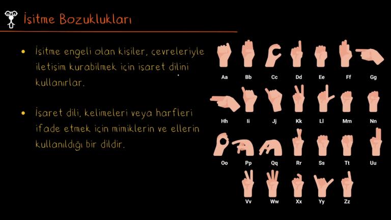 İşitme Bozuklukları