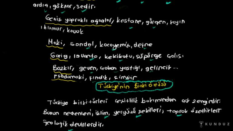 Türkiye’de Bitkilerin Genel Özellikleri