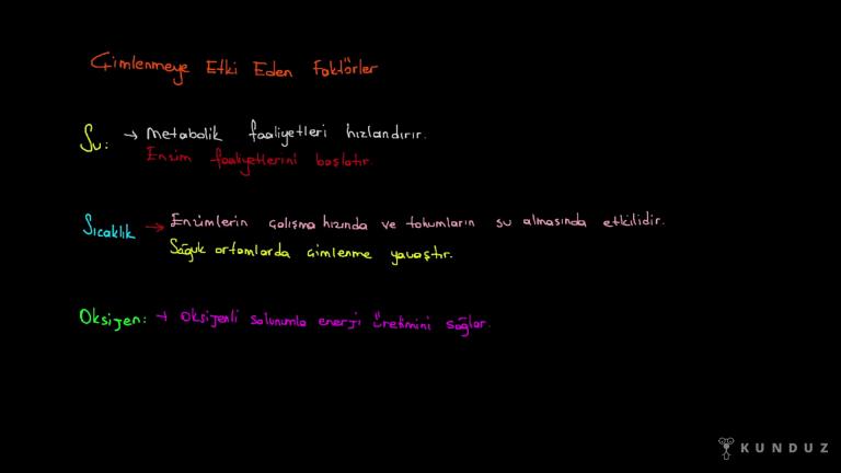 Dormansi ve Çimlenme