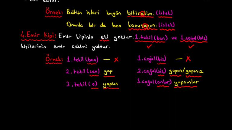 Dilek Kip Ekleri