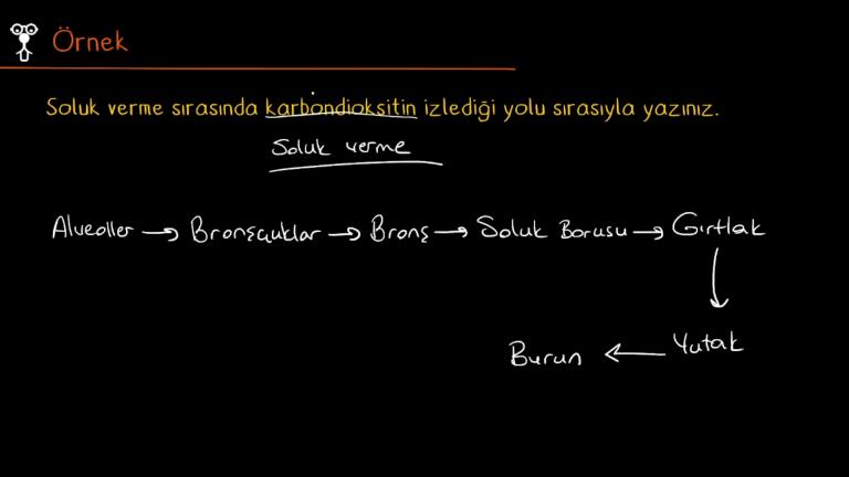Soluk Alıp Verme
