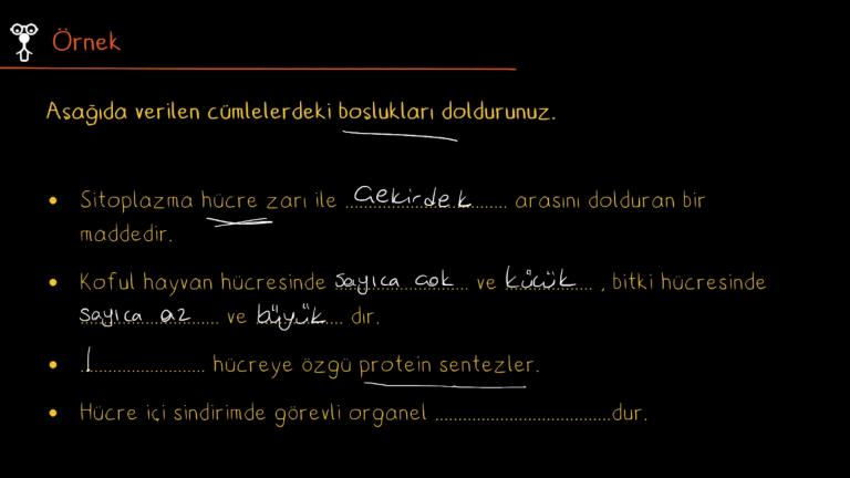 Sitoplazma ve Organeller