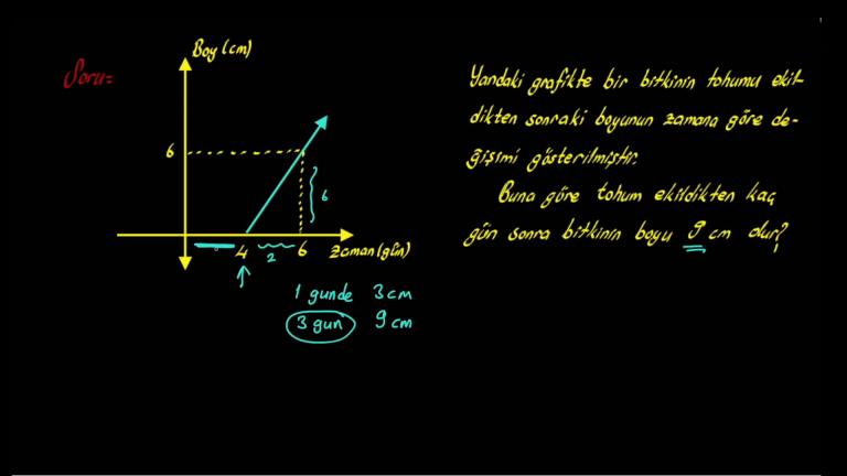Grafik Problemleri Yeni Nesil Sorular