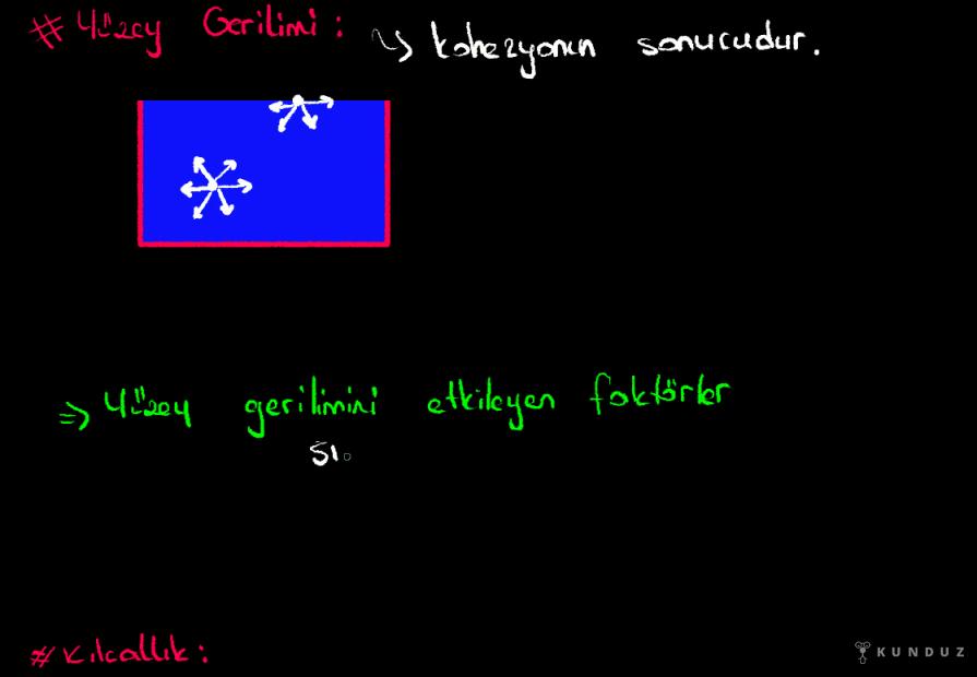 Adezyon, Kohezyon, Yüzey Gerilimi, Kılcallık