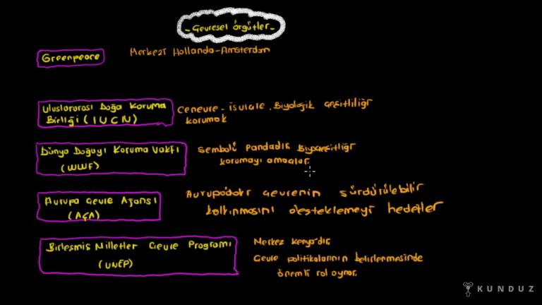 Çevresel Örgütler