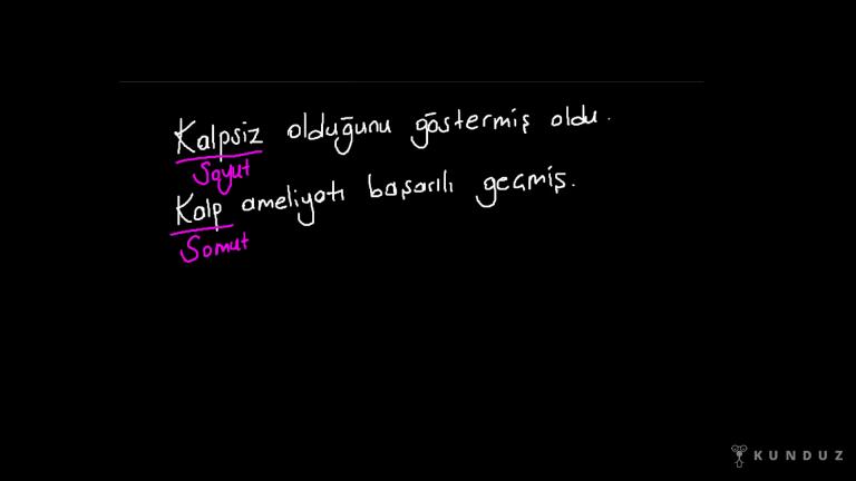 Somut ve Soyut Anlamlı Sözcükler