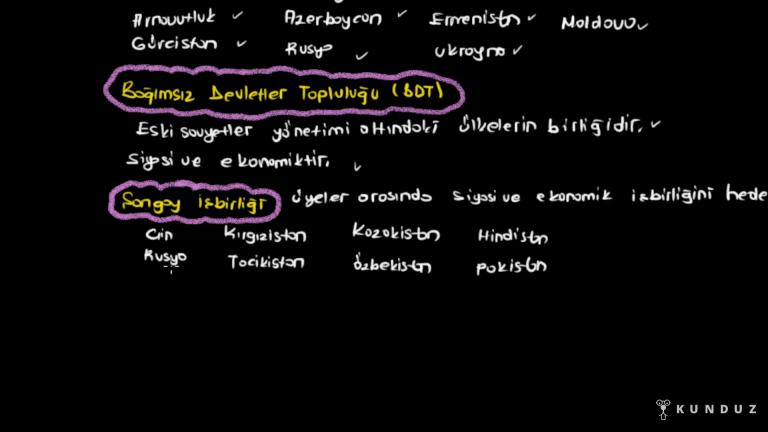 Uluslararası Örgütler