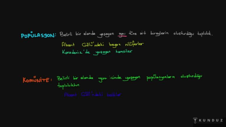 Ekosistem Ekolojisi Kavramları