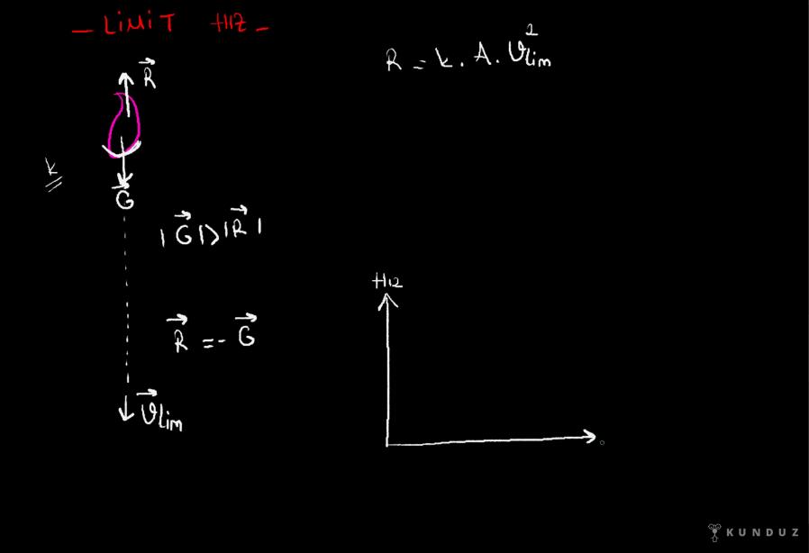 Limit Hız