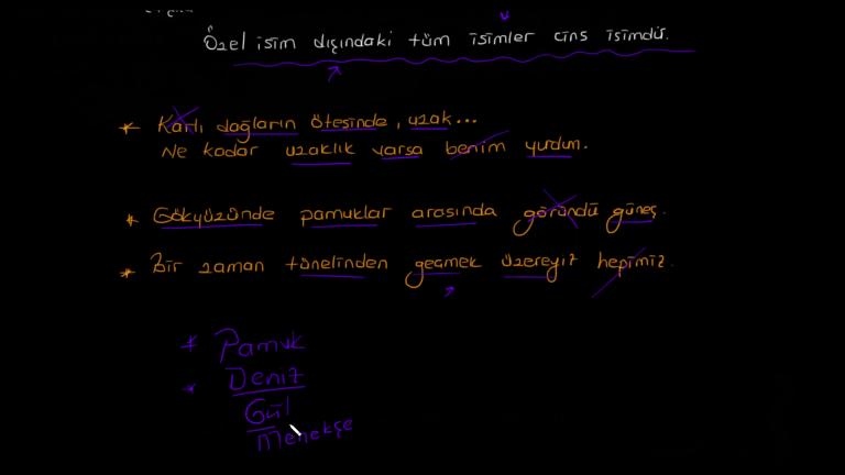 Cins ve Özel İsim