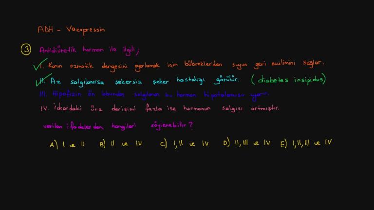 Endokrin Sistem Örnek Sorular Bölüm 1