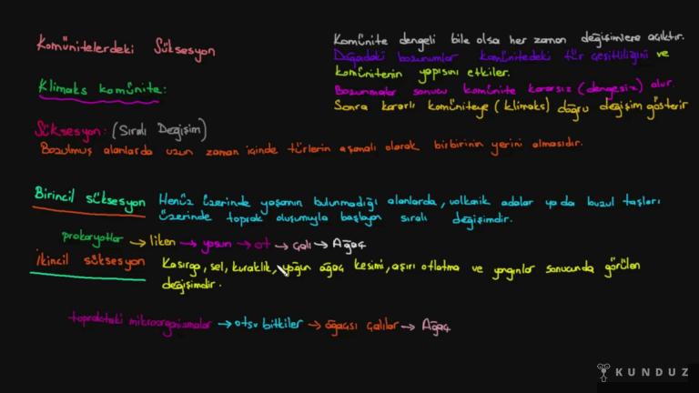 Süksesyon