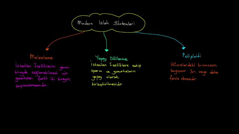 Genetik Mühendisliği ve Biyoteknoloji Nedir