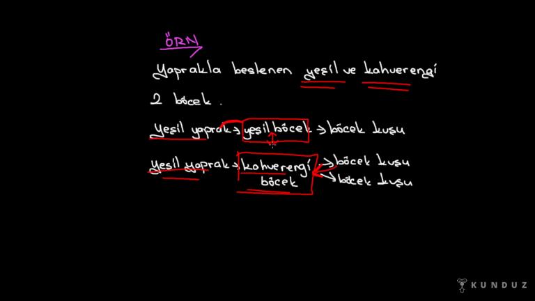 Adaptasyon (Çevreye Uyum)