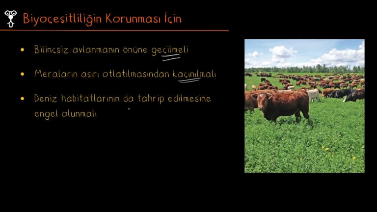 Biyoçeşitliliğin Korunması