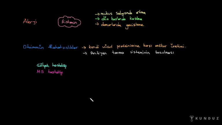 Aktif Pasif Bağışıklık-Alerji-Otoimmün Hastalıklar