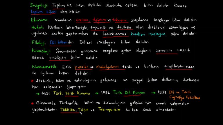 Sosyal Bilim Dalları