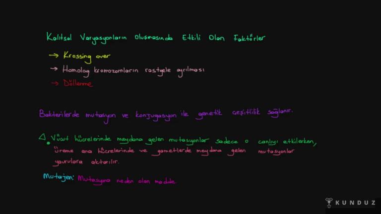 Varyasyon ve Biyolojik Çeşitlilik