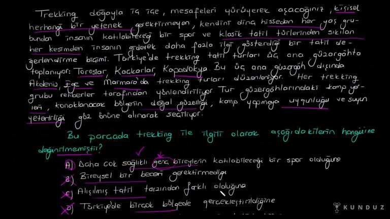 Paragrafta Yardımcı Düşünceler