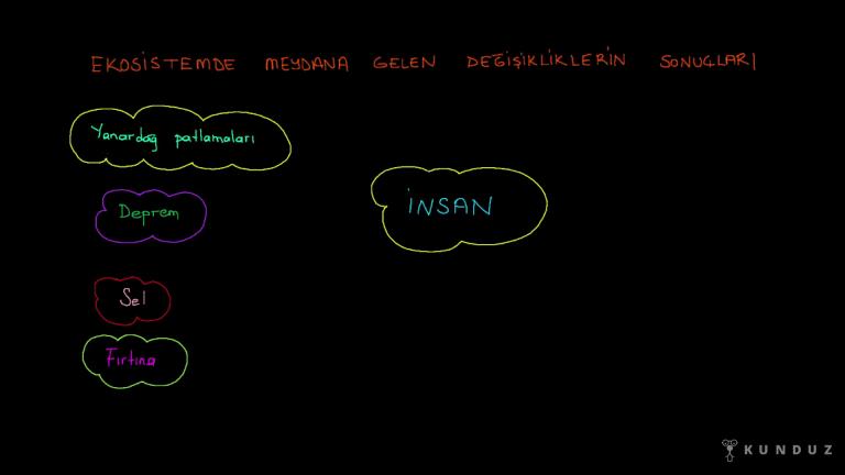 Ekosistemde Meydana Gelen Değişikliklerin Sonuçları