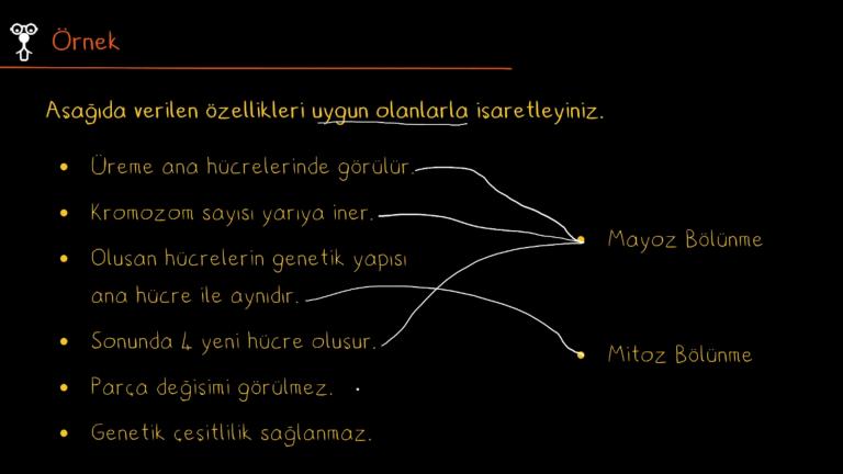 Mitoz ve Mayoz Farkları