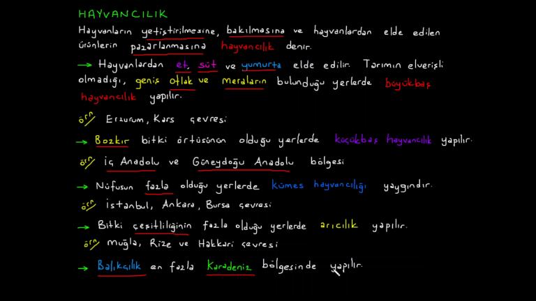 Tarım ve Hayvancılık