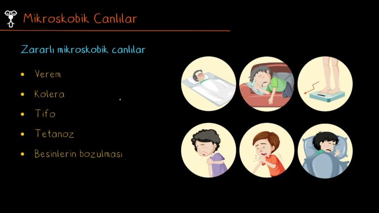 Mikroskobik Canlılar