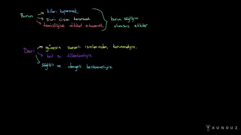 Duyu Organlarının Sağlığı