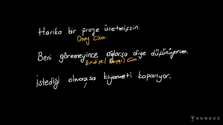 Onay, Abartma ve Endişe Cümleleri