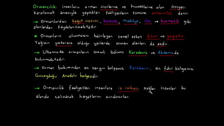Madencilik ve Ormancılık