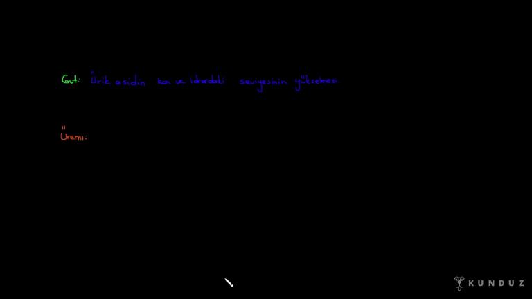 Üriner Sistem Rahatsızlıkları