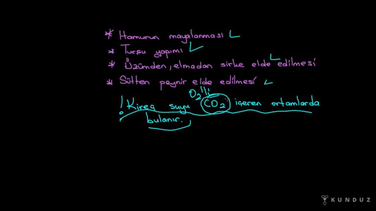 Solunum