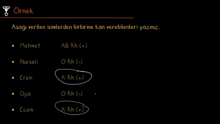 Kan Grupları