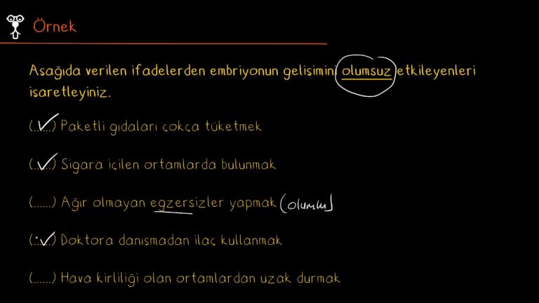 Embriyonun Sağlıklı Gelişimi