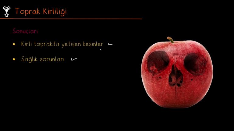 İnsan Faaliyetlerinin Çevreye Olumsuz Etkisi