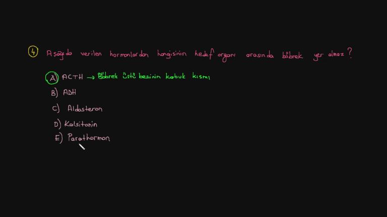 Endokrin Sistem Örnek Sorular Bölüm 2