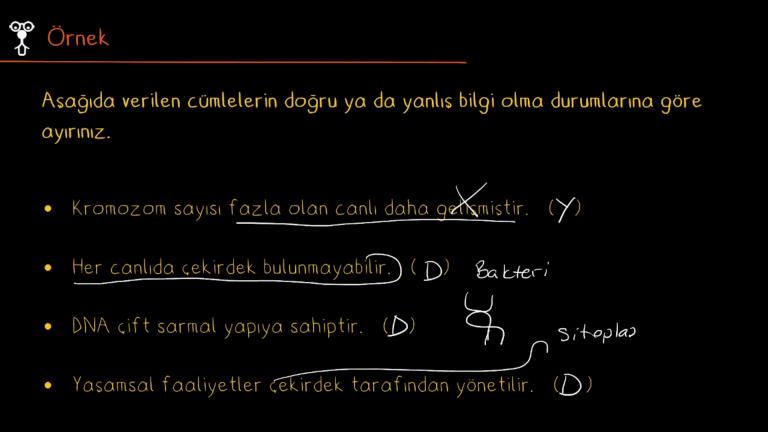 Çekirdek