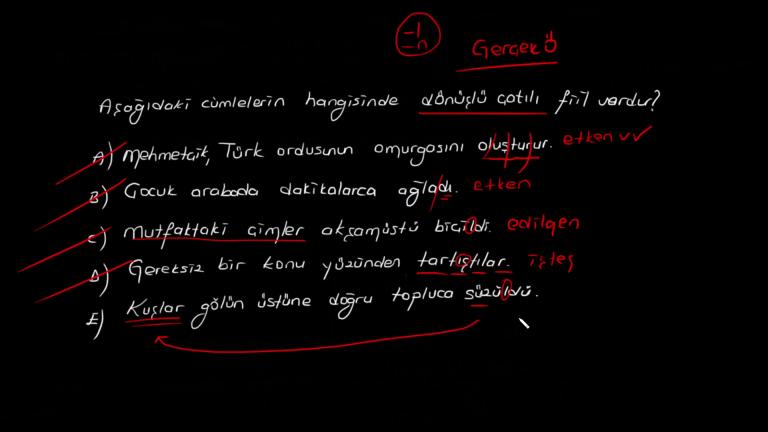 Dönüşlü Fiil
