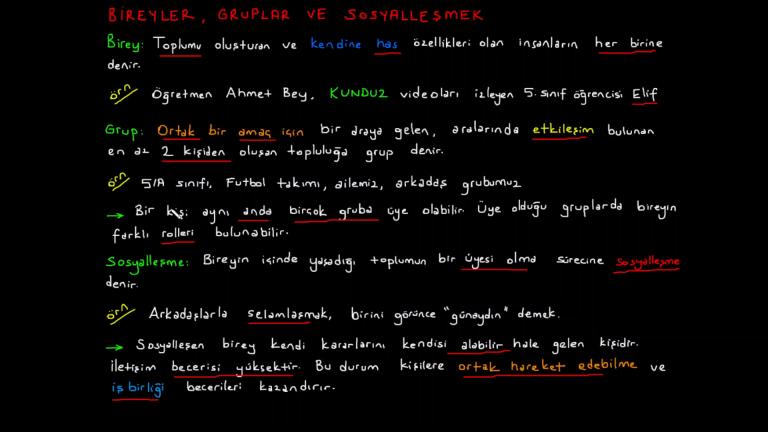 Birey, Grup ve Sosyalleşme