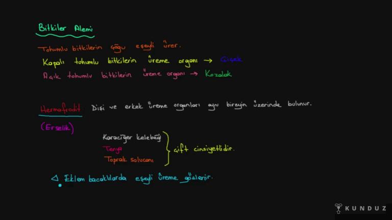 Eşeyli Üreme ve Özellikleri