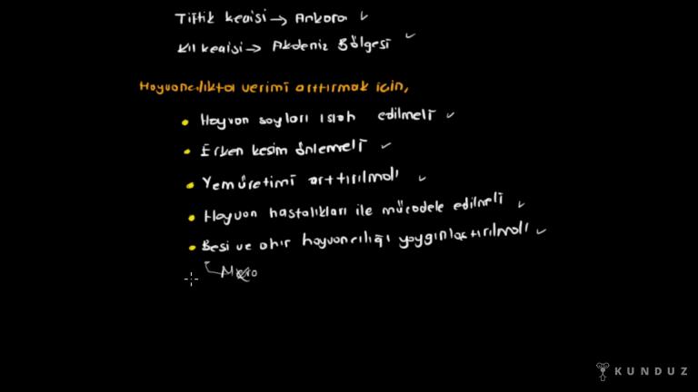 Türkiye'de Hayvancılık